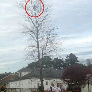 ��6�q��ͯ����15�ט�(sh��)� ���ȆT�����ؙC(j��)�������