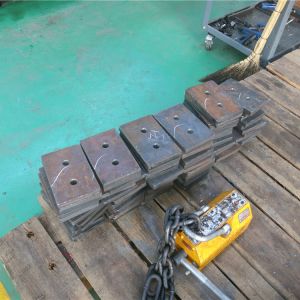 2018111102 ���������^