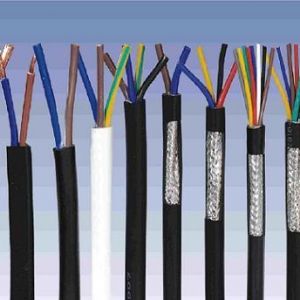 ������|����|���N�(l��i)�е�һ�N��ʲô�ǿ�����|��